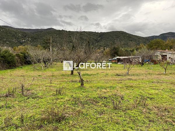 Achat terrain Céret - 6962 m² - 105 000 €