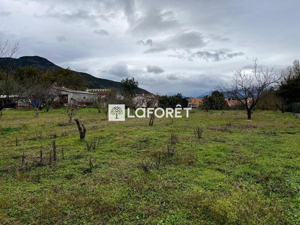 Achat terrain Céret - 6962 m² - 105 000 €