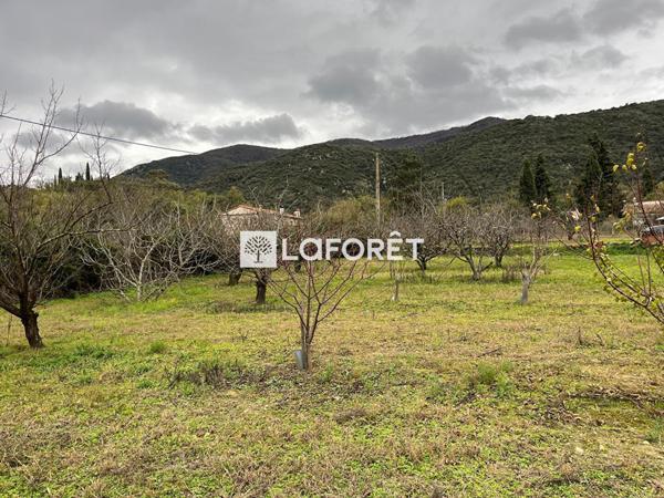 Achat terrain Céret - 6962 m² - 105 000 €