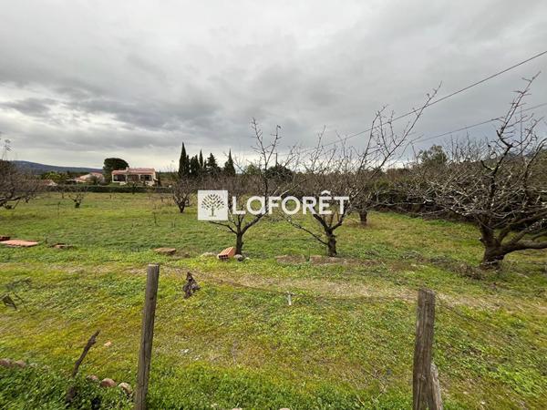 Achat terrain Céret - 6962 m² - 105 000 €