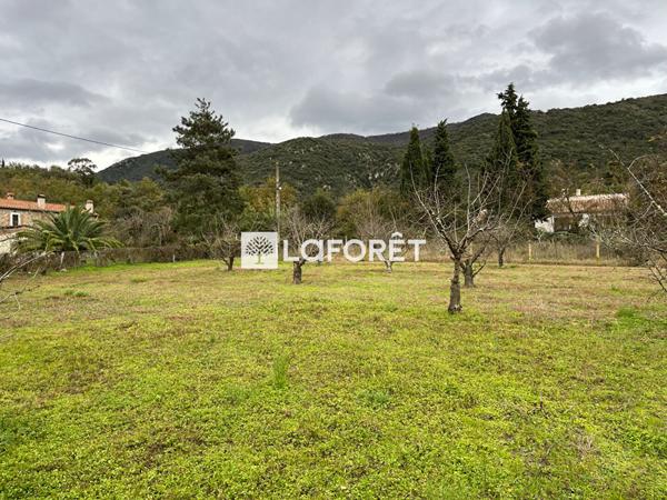 Achat terrain Céret - 6962 m² - 105 000 €