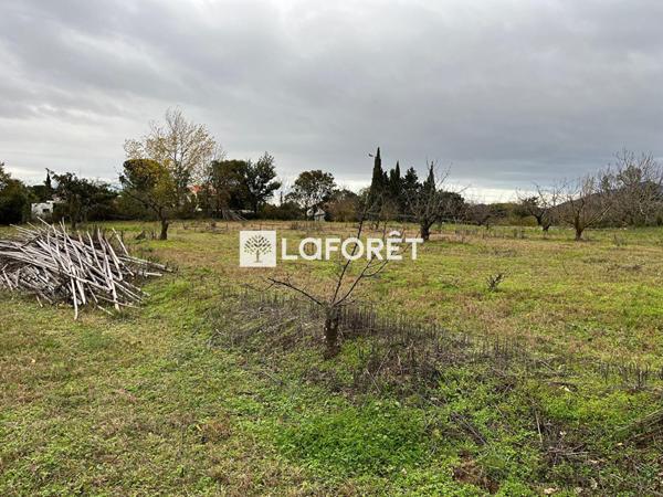 Achat terrain Céret - 6962 m² - 105 000 €