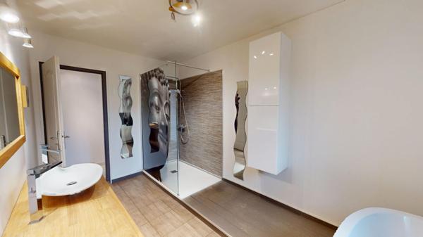 Maison récente entièrement rénovée avec piscine et spa - Trouy Bourg