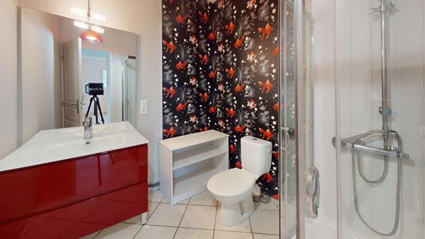 Maison récente entièrement rénovée avec piscine et spa - Trouy Bourg