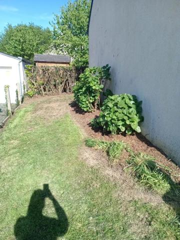 Location Maison 5 pièces 73 m2 à Lancieux