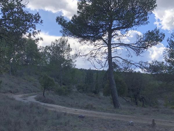 Esparron (83560) RARE - MAISON AUTONOME ET ISOLEE . 110 M²/8000 m² a 10' DE RIANS