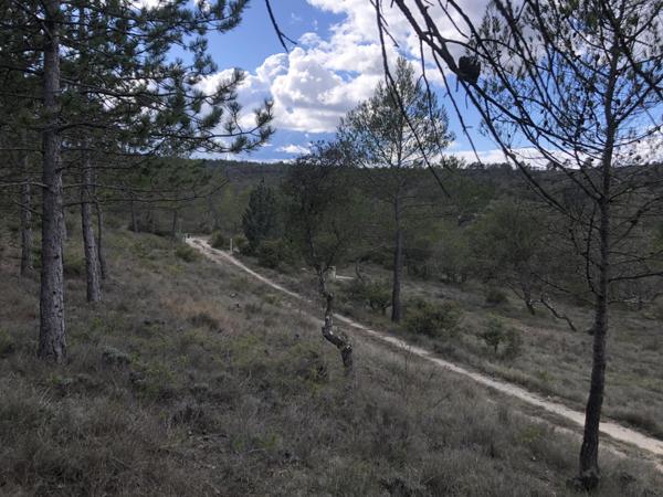 Esparron (83560) RARE - MAISON AUTONOME ET ISOLEE . 110 M²/8000 m² a 10' DE RIANS