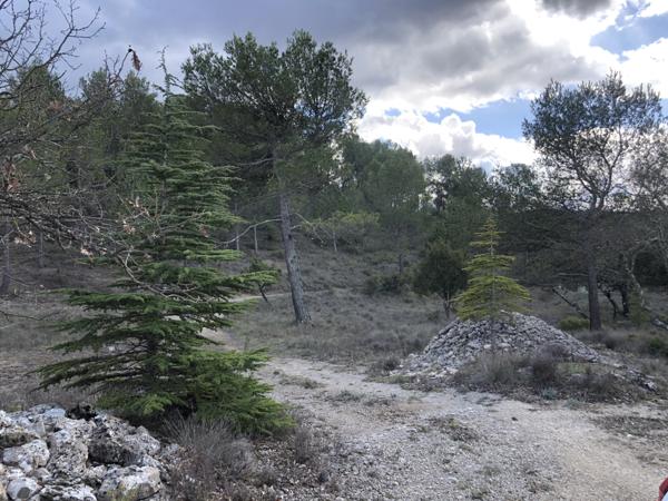 Esparron (83560) RARE - MAISON AUTONOME ET ISOLEE . 110 M²/8000 m² a 10' DE RIANS