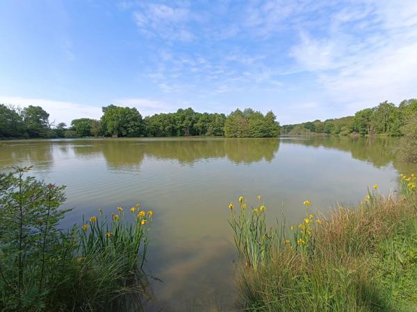 Situation exceptionnelle, 2 propriétés, un étang de pêche et une opportunité d'affaires