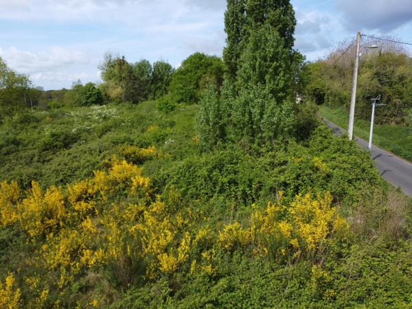 RARE - Ensemble DURTAL