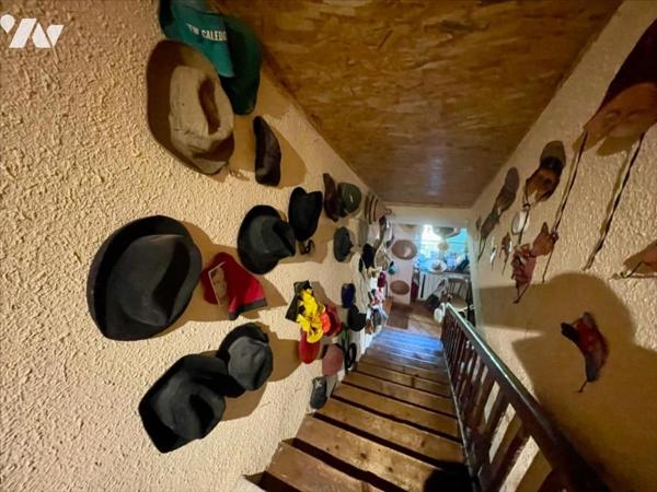 Maison ancienne pleine de charme avec dépendances et terrain