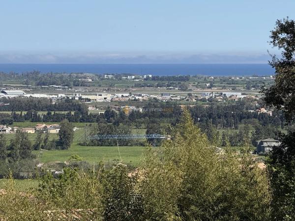 Vente                                                      Terrain
                        
                                         1006 m2                     à Lucciana