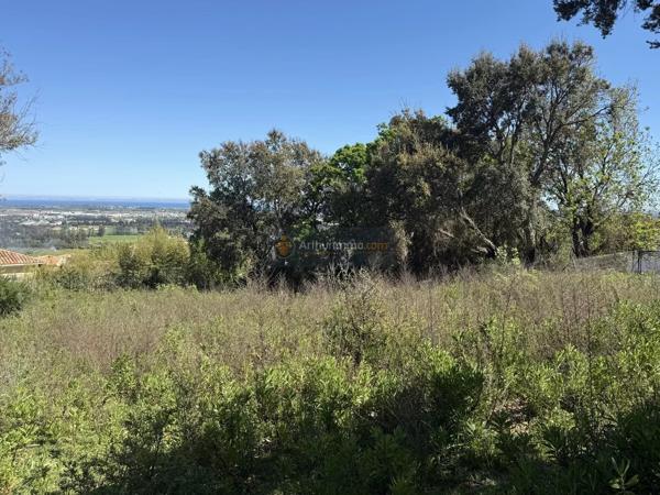 Vente                                                      Terrain
                        
                                         1006 m2                     à Lucciana