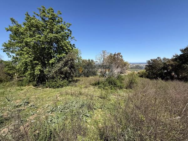Vente                                                      Terrain
                        
                                         1006 m2                     à Lucciana