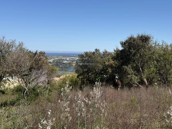 Vente                                                      Terrain
                        
                                         1006 m2                     à Lucciana