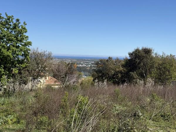 Vente                                                      Terrain
                        
                                         1006 m2                     à Lucciana