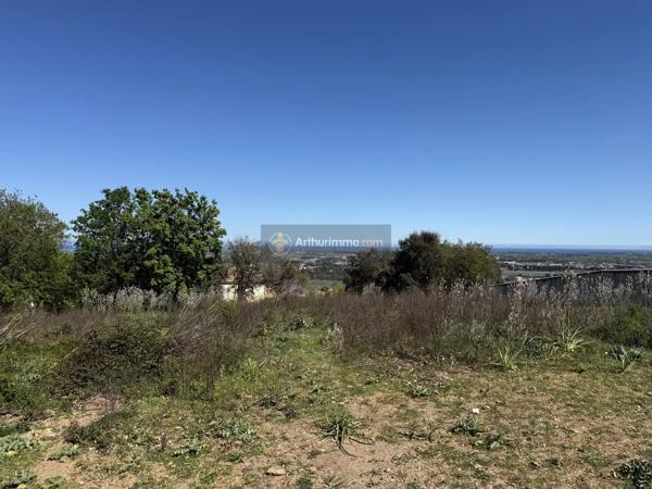Vente                                                      Terrain
                        
                                         1006 m2                     à Lucciana