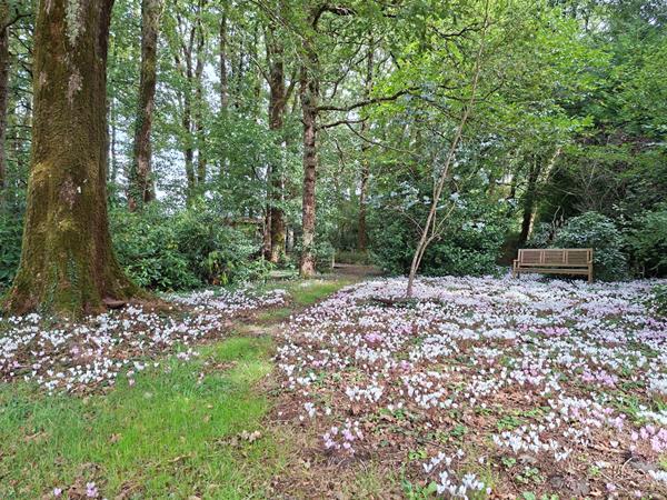 Maison campagne PORNIC