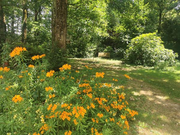 Maison campagne PORNIC