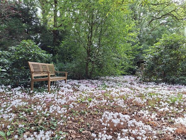 Maison campagne PORNIC