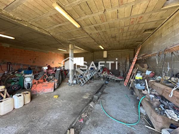 Exploitation agricole 33,9 ha avec maison, bâtiments, matériel et revenu photovoltaïque