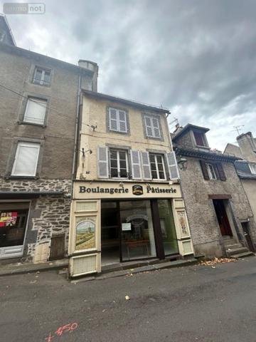 Immeuble de rapport à vendre à Mauriac dans le Cantal (15200), ref : 15060/1231