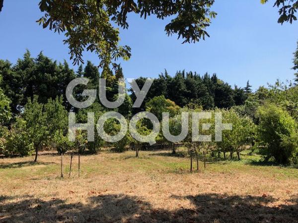 Ensemble immobilier - maison T5 125 m² , maison T3 50 m² , dépendances, terrain 2434 m²