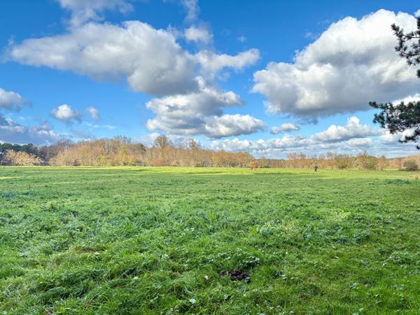 Saint-Georges-sur-Cher - Propriété d'exception, au calme absolu