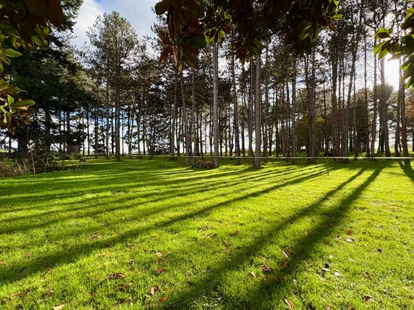 Saint-Georges-sur-Cher - Propriété d'exception, au calme absolu