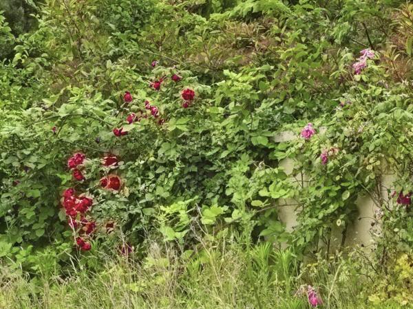 Maison à vendre 6 pièces ROCQUENCOURT (78)