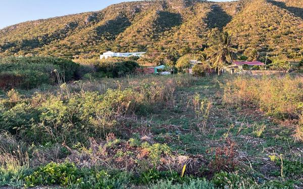 Terrain à vendre    La Désirade
