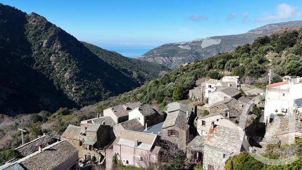 Maison à vendre  3 pièces - 50 m2 OLCANI - 202