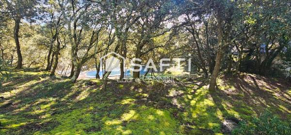 DRÔME PROVENCALE, 26790 SUZE LA ROUSSE