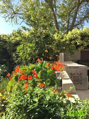 Vente / Maison de maître à Portiragnes (34420)