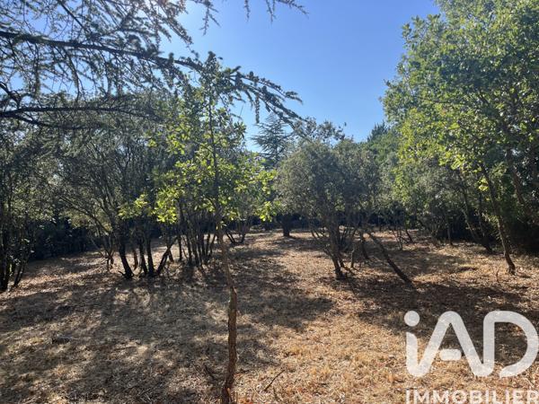 Terrain à vendre 1 549 m² Cabrières-d'Avignon