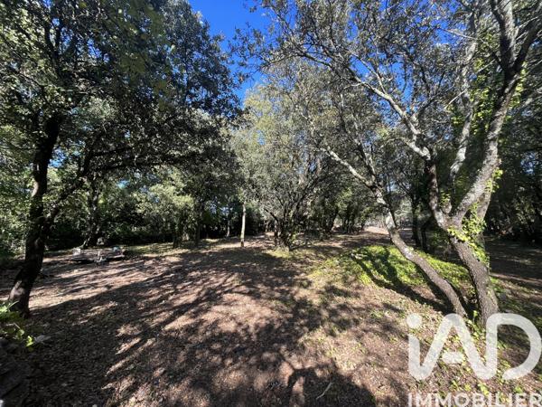 Terrain à vendre 1 549 m² Cabrières-d'Avignon