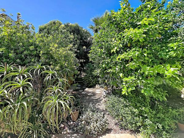 MAISON AVEC JARDIN LUXURIANT DE 185 m² EN PLEIN CŒUR DE VILLE, PERPIGNAN