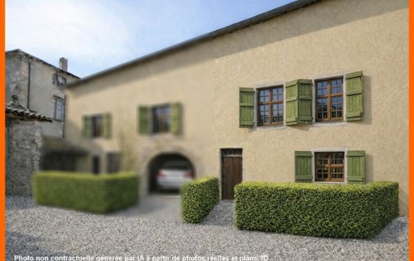 Vente Appartement P3 Rez de jardin rénové(e) Montluel   