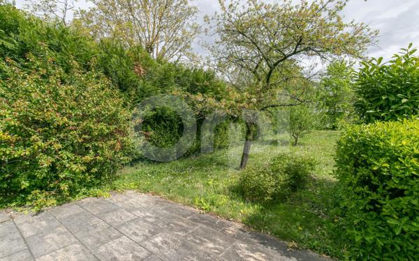 Maison à vendre    4 pièces •  Sucy-en-Brie