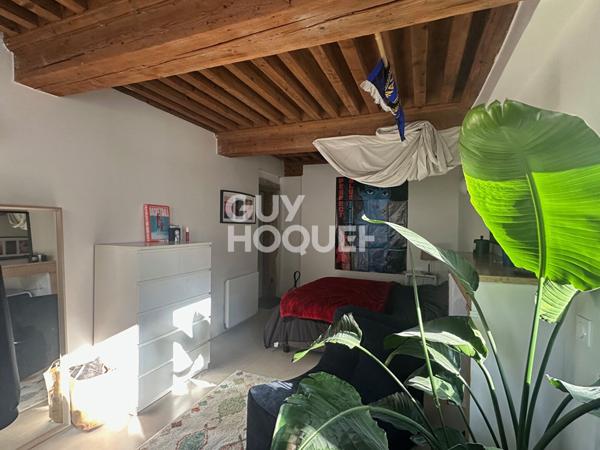 Appartement duplex - rue de la Platière