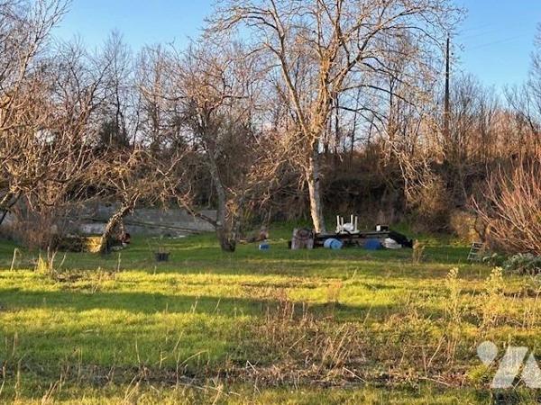 VENTE TERRAIN FONTEVRAUD