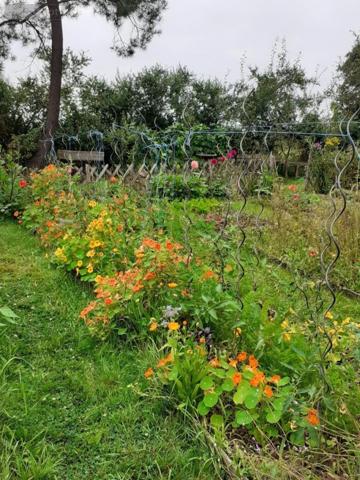 Maison à vendre à Herbignac en Loire-Atlantique (44410), ref : 56014-778