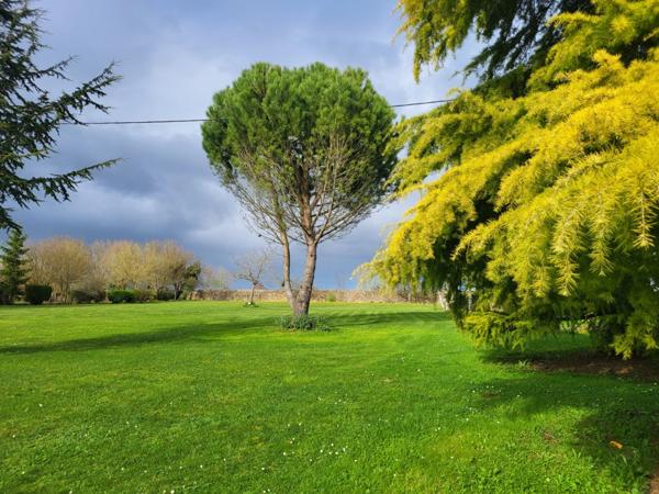Maison à vendre 6 pièces AIRVAULT (79) Terrain 5 188 m²