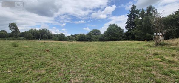 Maison à vendre à Questembert dans le Morbihan (56230), ref : 56013-829