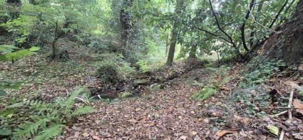 Maison à vendre à Questembert dans le Morbihan (56230), ref : 56013-829