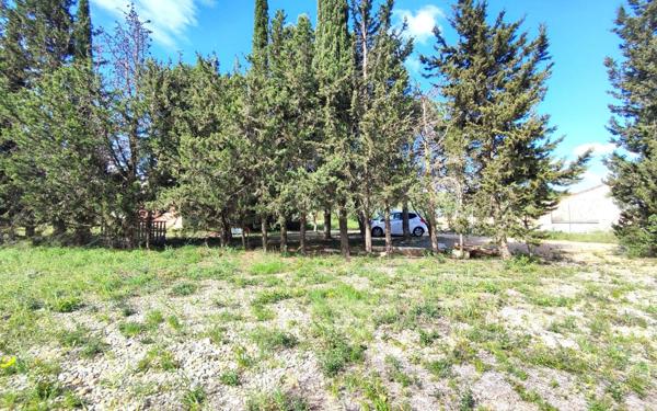 Terrain à vendre    La Palme