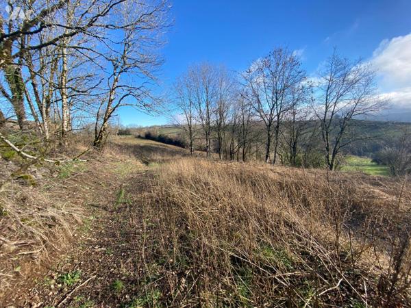 A vendre, dans un hameau sur la commune de Saint-Cirgues-de-Malbert, une parcelle de terrain co...