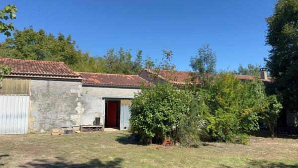 PIED PIED avec 4600m² Terrain bien arboré