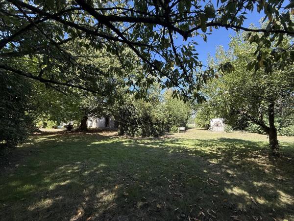 PIED PIED avec 4600m² Terrain bien arboré