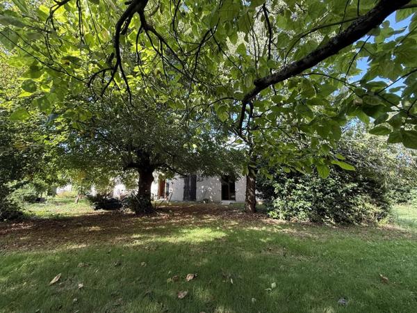 PIED PIED avec 4600m² Terrain bien arboré